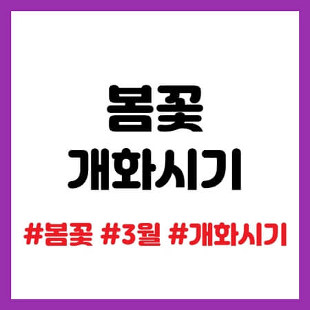 봄꽃 개화시기