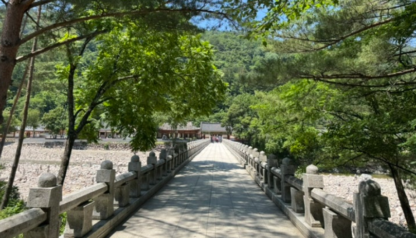 인제 백담사 트레킹 코스