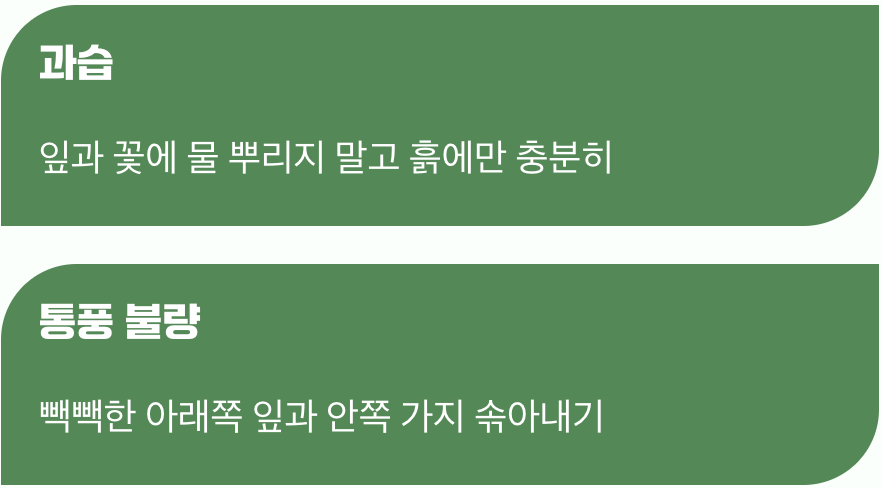 모든 문제의 시작, 과습과 통풍