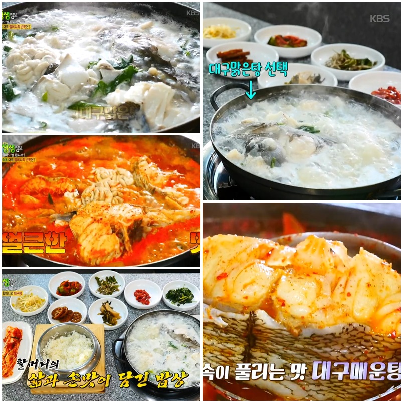 속초 물곰탕 맛집