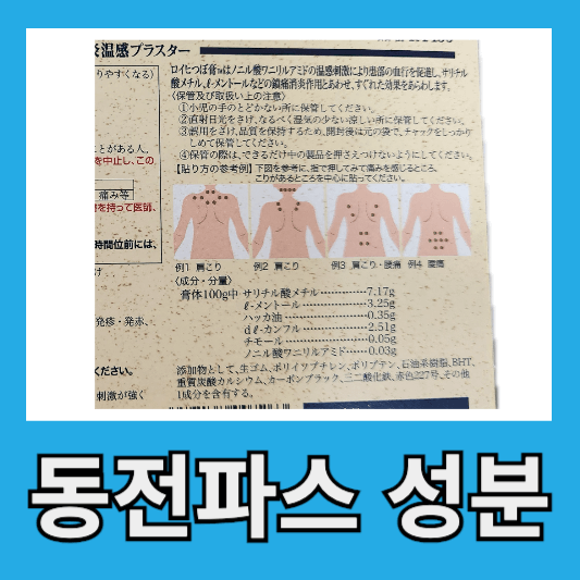 동전파스 성분
