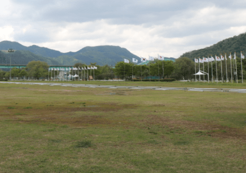 자라섬-잔디밭