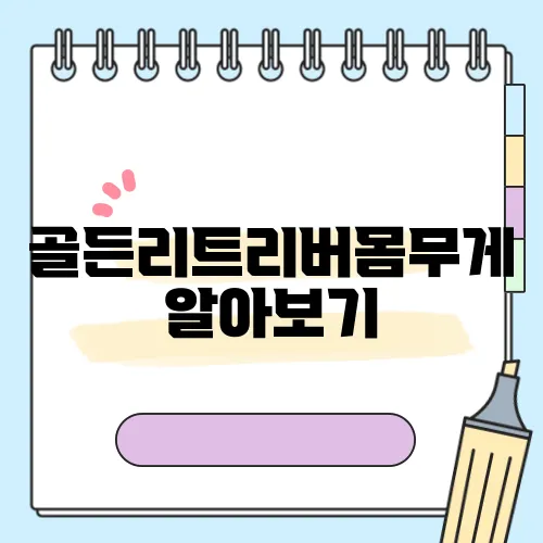 골든리트리버몸무게 알아보기