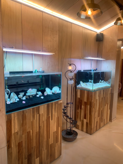 6시내고향 굴뚝빵 인천 옹진군 신시모도 카페 하라보라