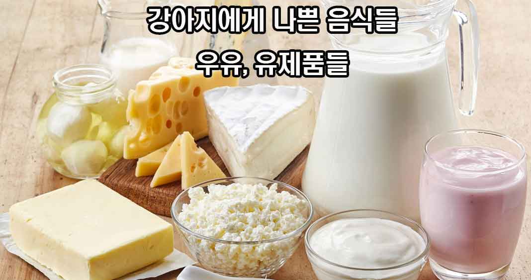 강아지에게 나쁜 음식들, 강아지에게 해로운 음식들