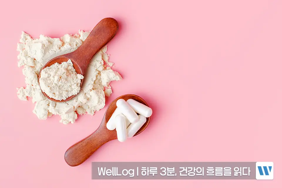 포스파티딜세린 효능 복용법 부작용 하루권장량