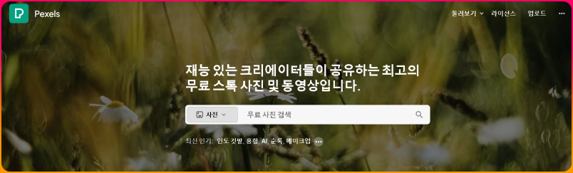 5.픽셀스(Pexels)
