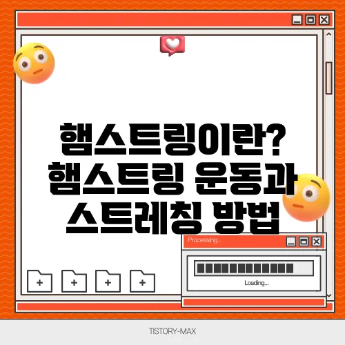햄스트링이란? 햄스트링 운동과 스트레칭 방법