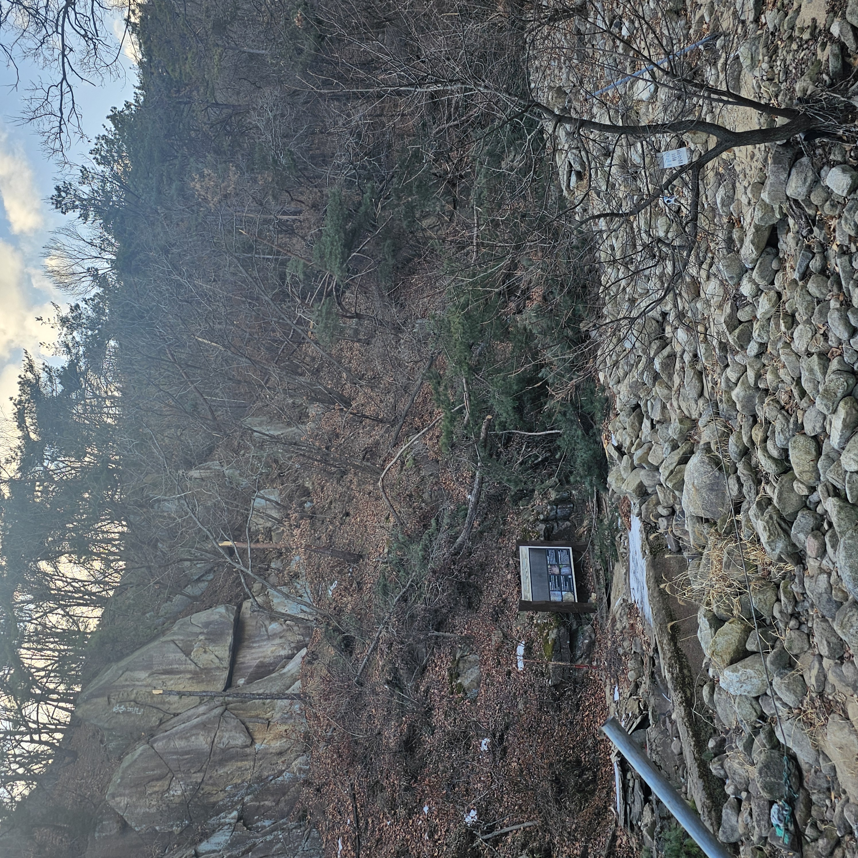 습하고 무거운 폭설에 쓰러진 수목들