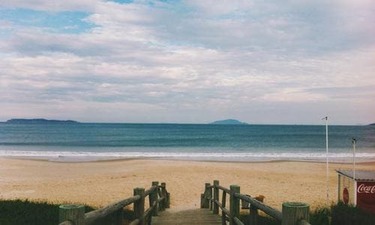 광견병의 원인과 증상, 응급처치 신기한 패턴 알아보기