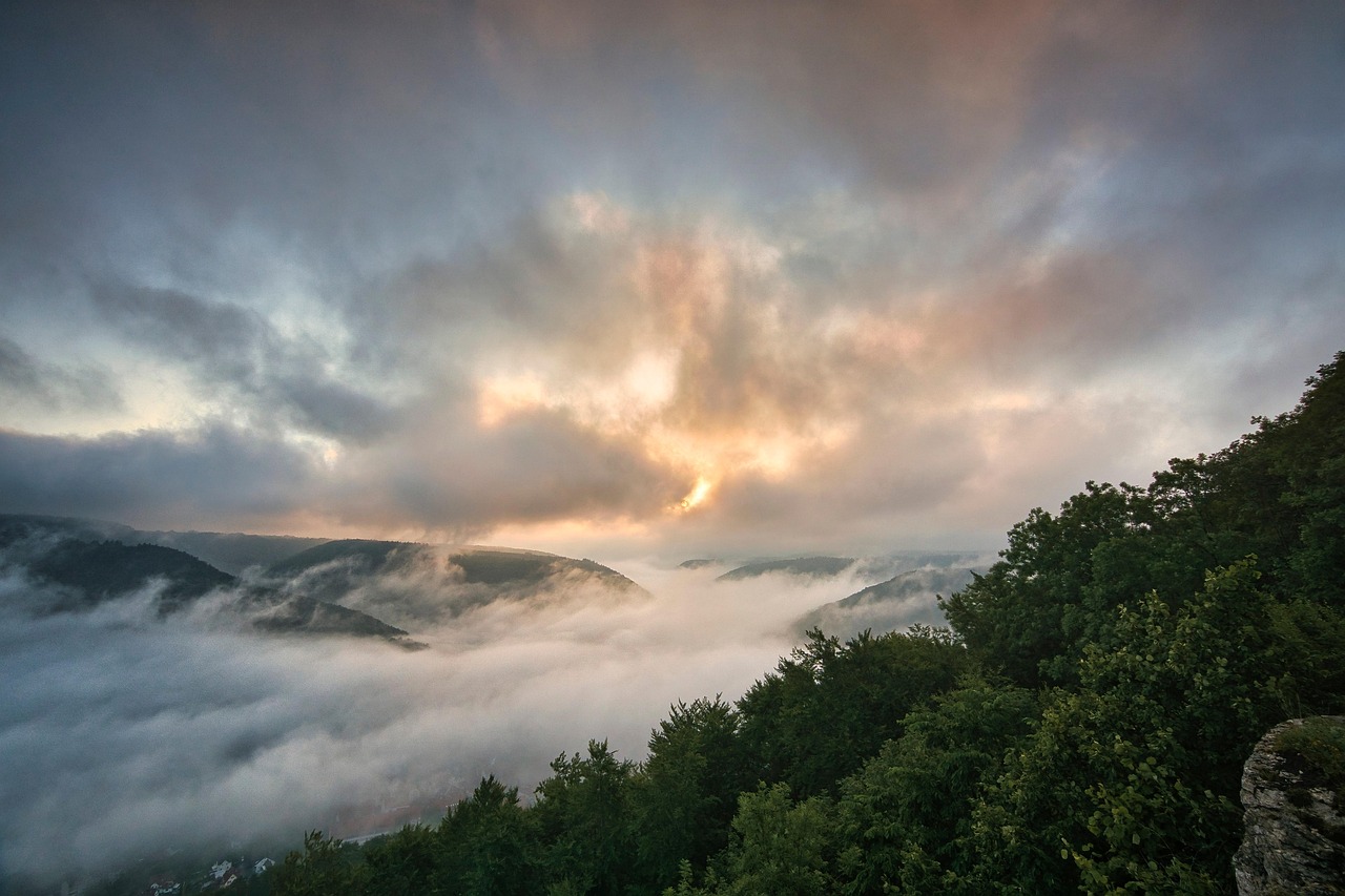 전세보증금 반환보증