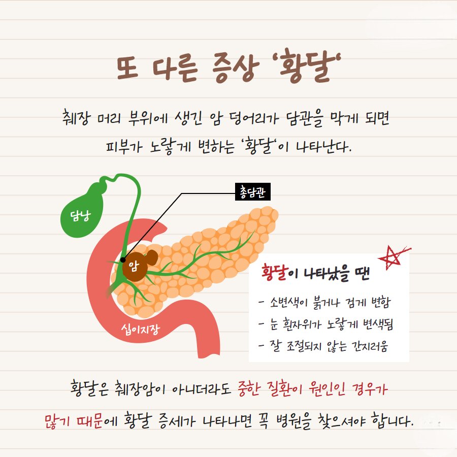 췌장암 의심 증상 여섯가지 발생원인 초기 의심 증상 검사방법 예방법