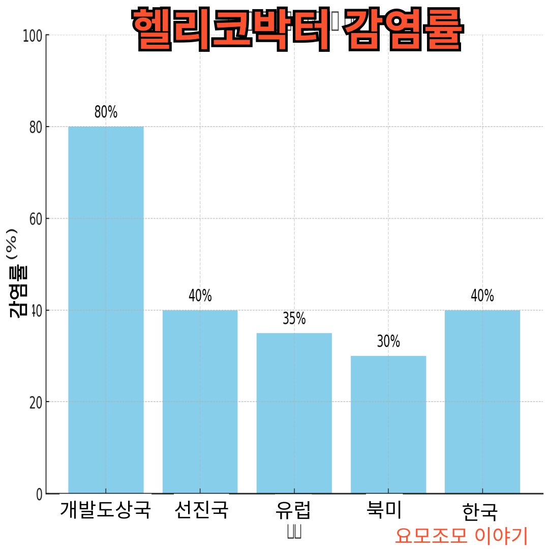 헬리코박터-감염률-그래프