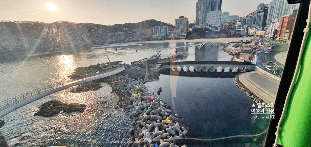 부산시티투어버스 모든 것: 요금, 할인, 코스, 시간표, 출발장소, 추천장소