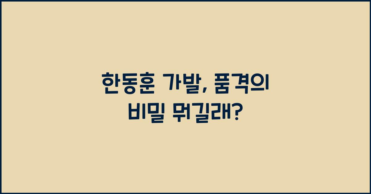 한동훈 가발