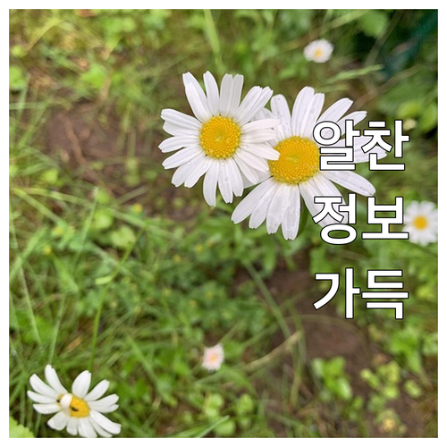 강서구 마곡동 대형폐기물 인터넷 신고..