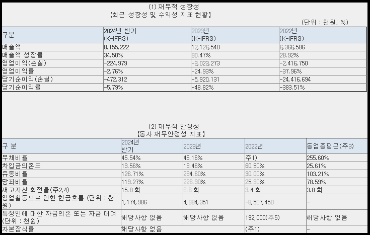 루미르 재무 현황