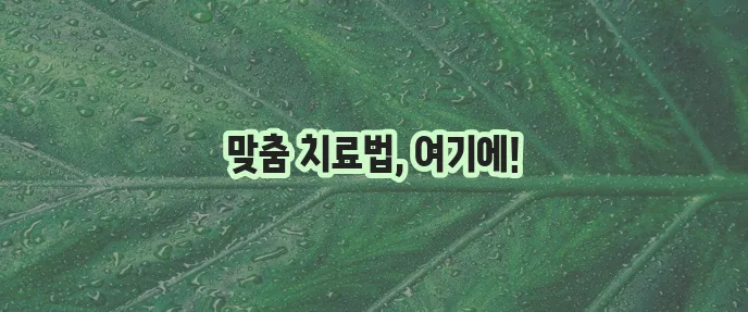 고지혈증 치료법 확실하게 알아봅시다!
