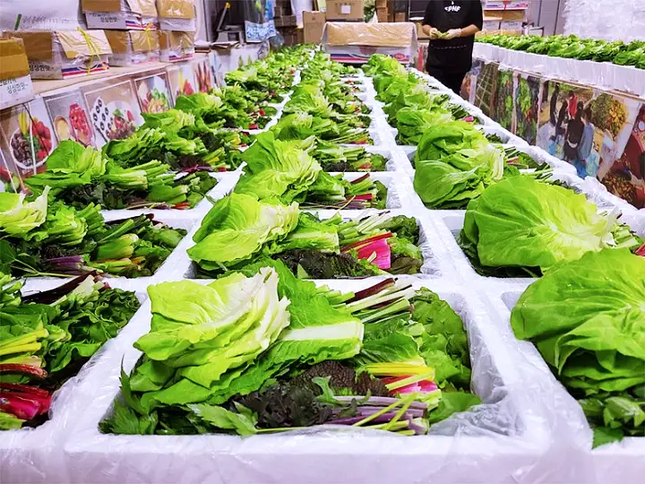 서민갑부 쌈채소 방울토마토 오이 전국 택배 온라인 주문 야채 파는 곳 연 매출 10억 원 귀농 농부 이범석 방송 정보