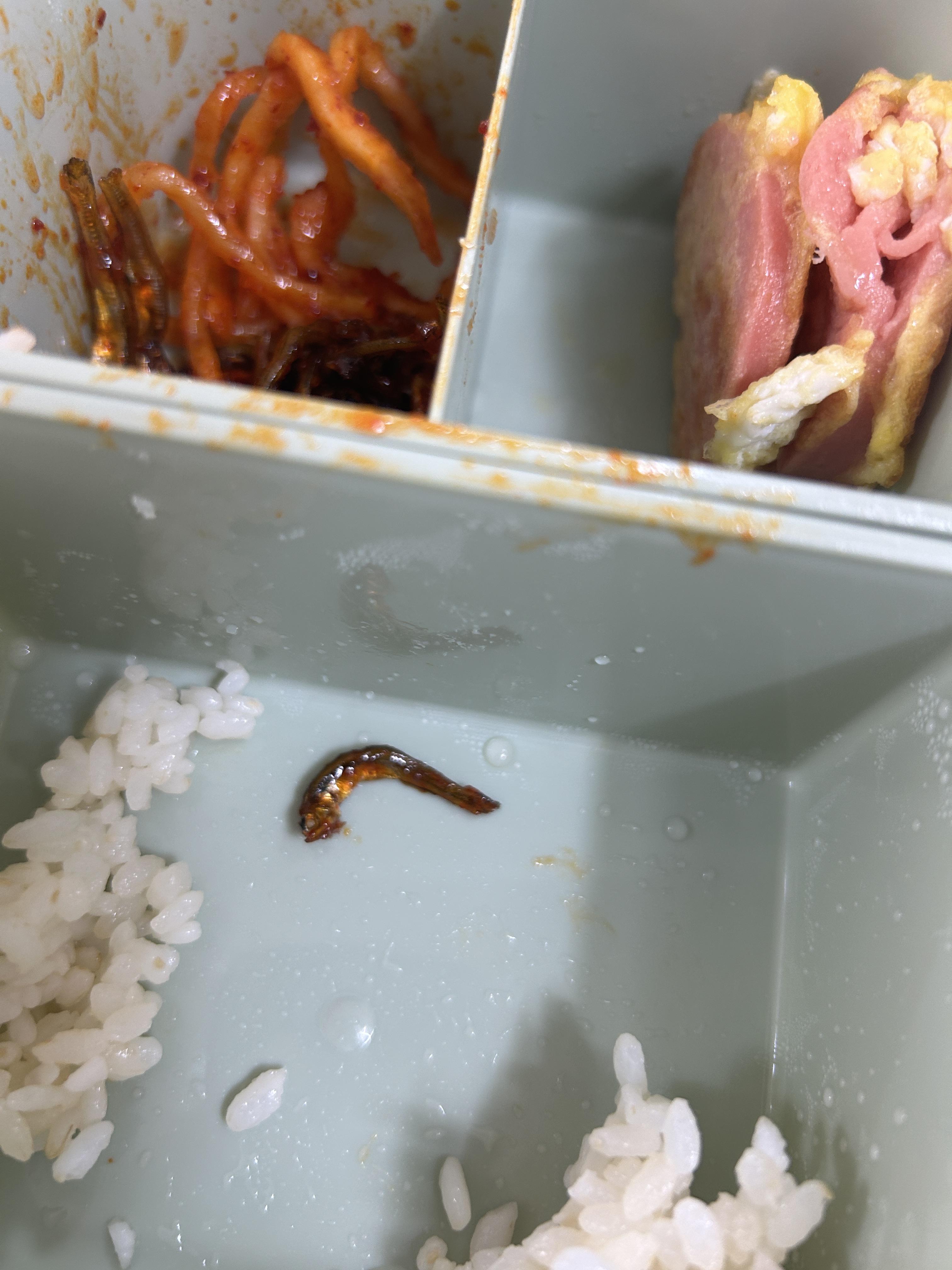 직장인 점심 도시락 남편 반찬 메뉴