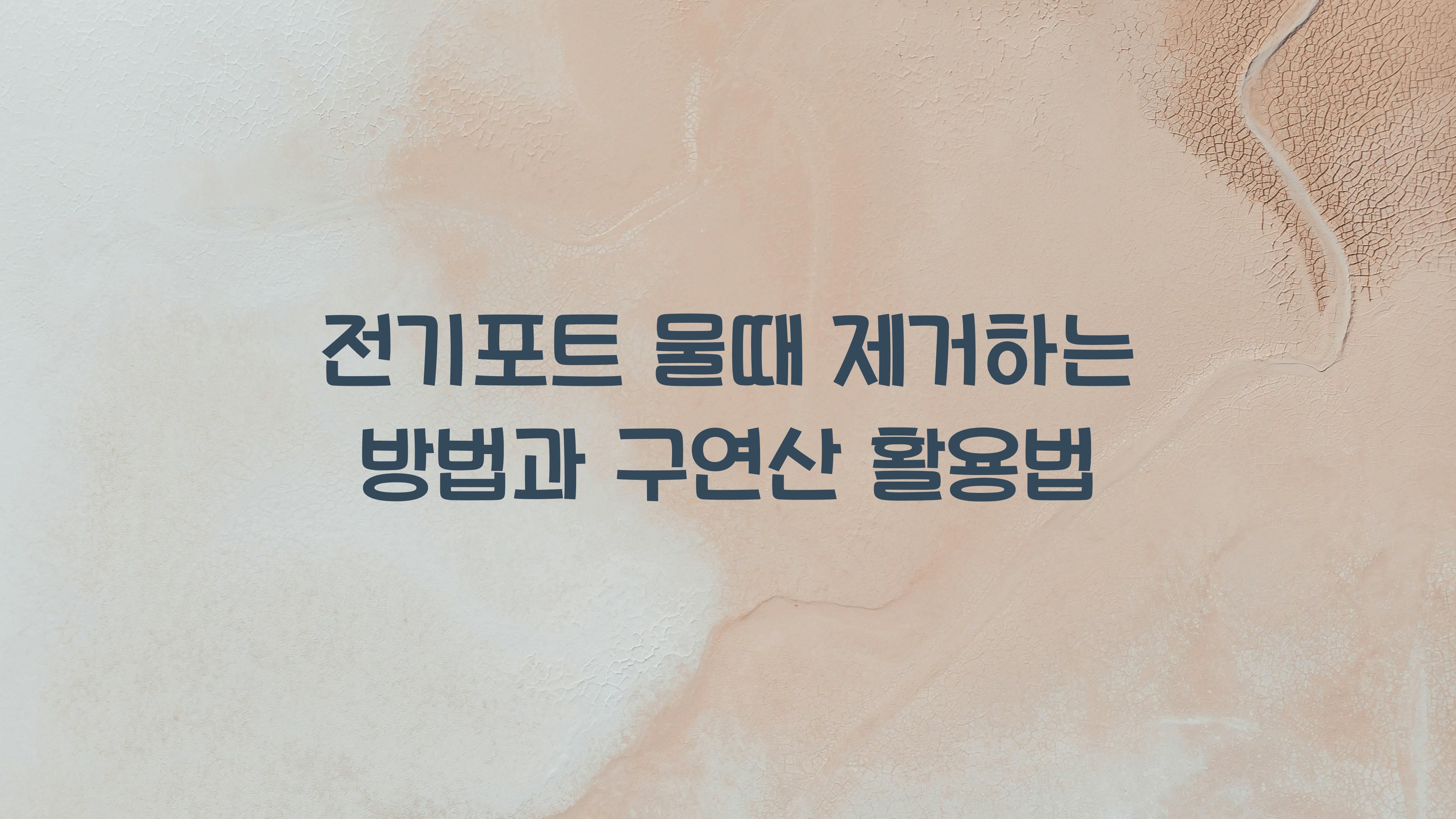 전기포트 물때 제거하는 방법