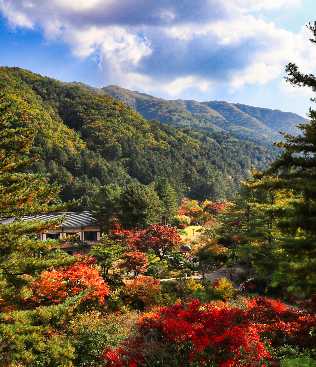서울 경기 단풍 명소 추천