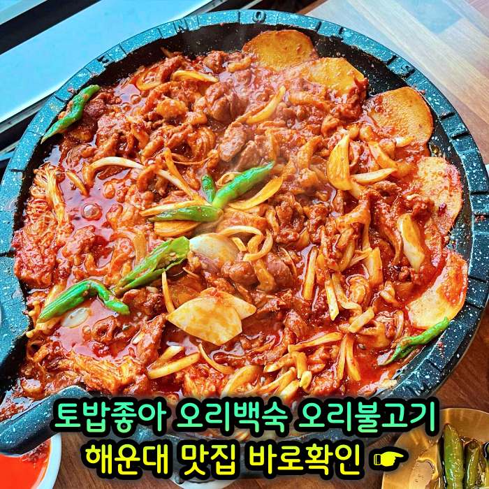 부산 해운대 맛집 무항생제 1등급 오리 백숙
