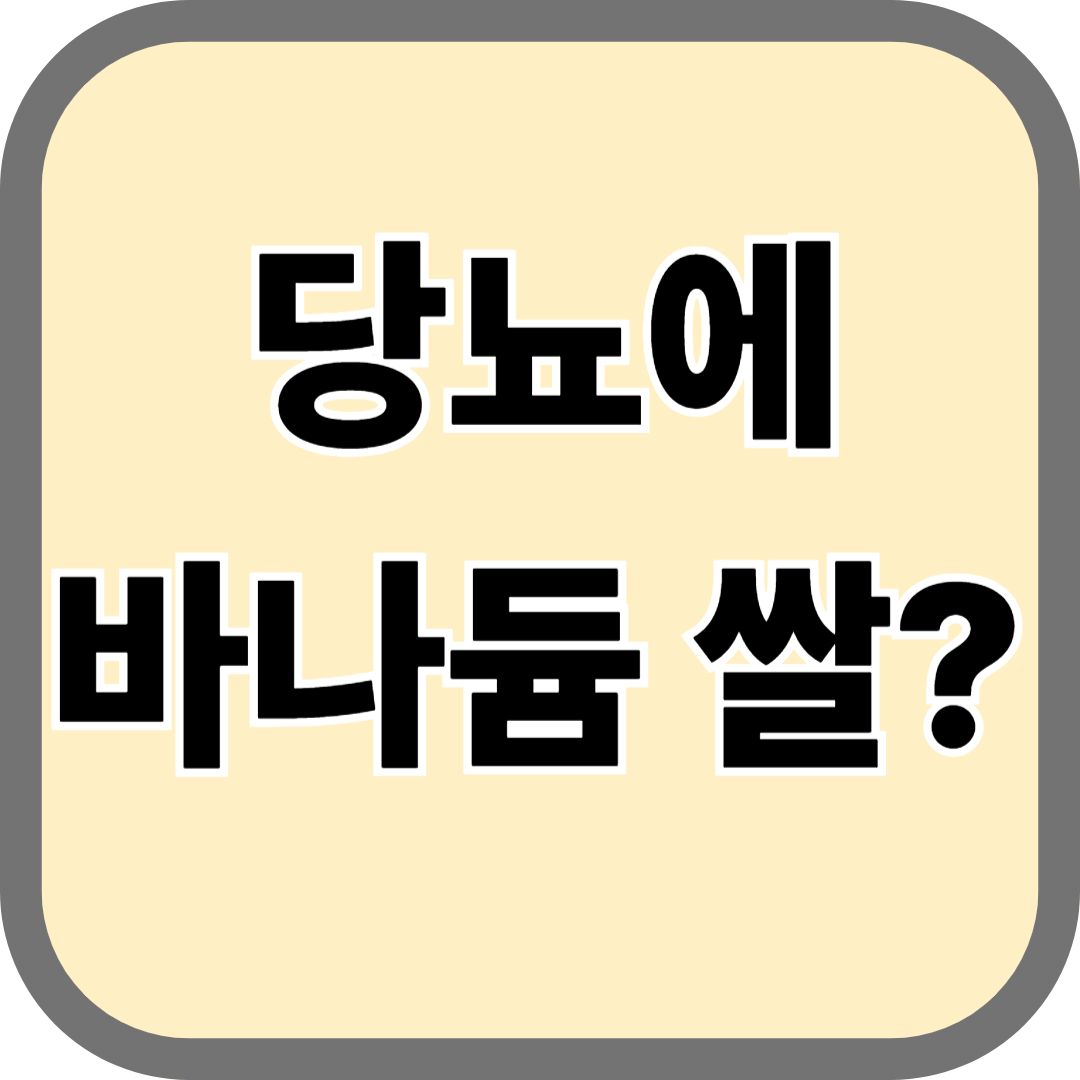 당뇨에 바나듐 쌀? 알고 먹으면 더 건강해지는 특별한 쌀