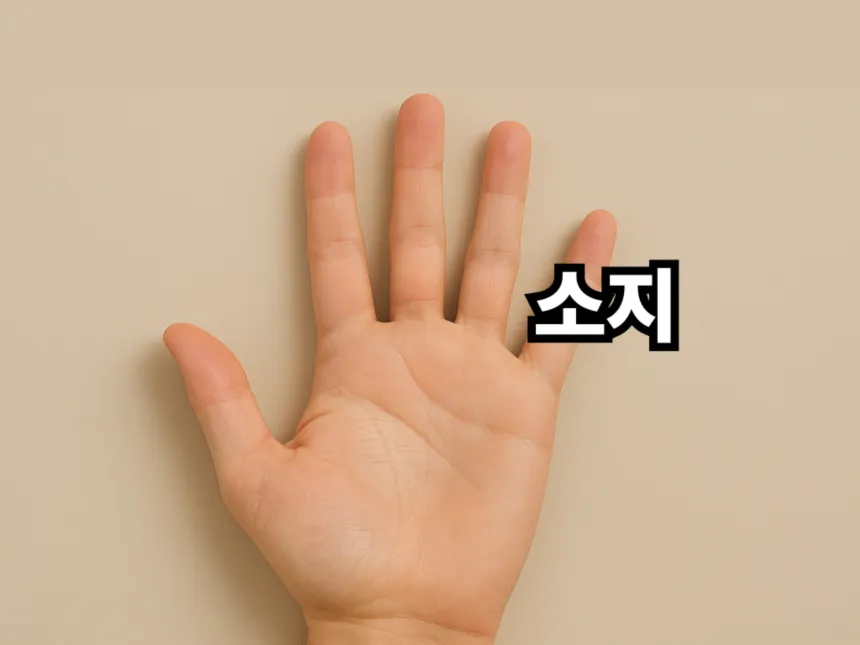 손가락 이름