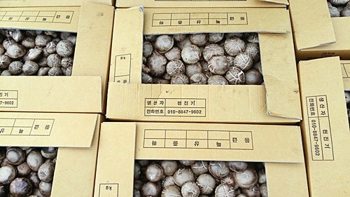 오늘N 2540회 가족이 뭐길래 드림버섯농장 표고버섯&amp;#44; 노루궁뎅이버섯&amp;#44; 녹각영지버섯까지 건강한 먹거리 주문방법