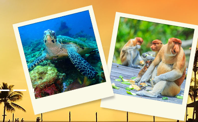 아시아나 마일리지