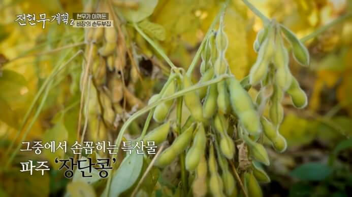 파주-장단콩