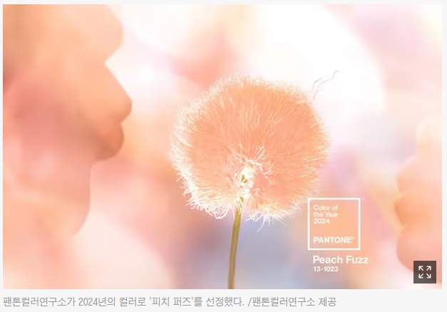 팬톤 2024