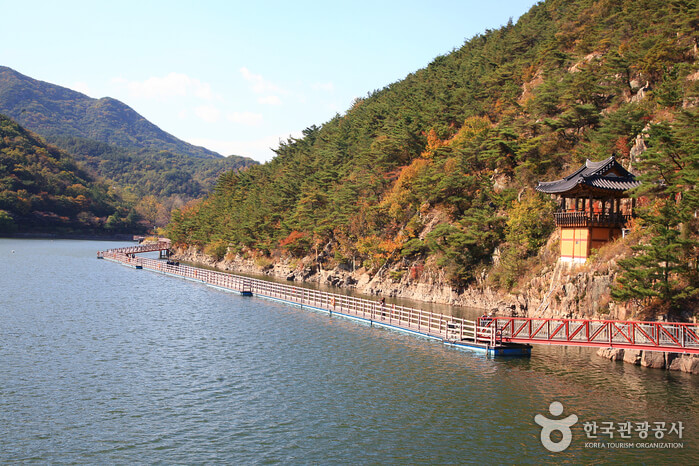 허리 아파서 등산 못하는 사람을 위한 , 자동차로 갈 수 있는 산정상