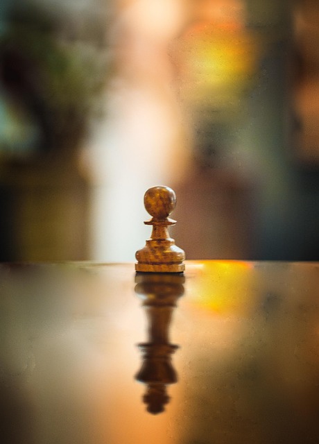 혼자 있는 체스 블록 사진