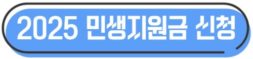 2025 민생회복지원금