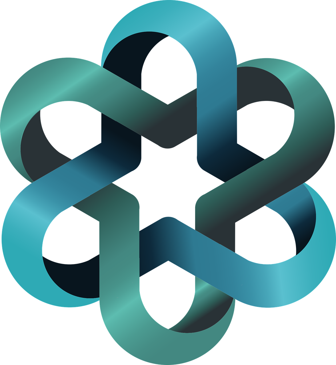 생선 속 플라스틱, 하루 섭취량은?