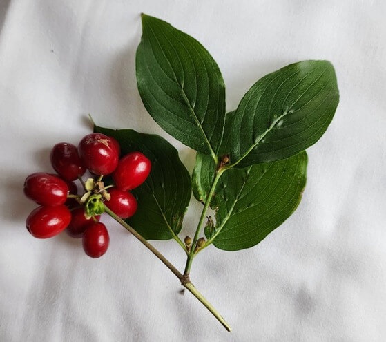 오늘이 내일이면 좋겠다 - 남유하 작가 책소개, 인터뷰