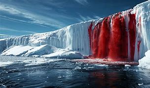 희귀 자연 현상: 신비로운 자연의 경이로움