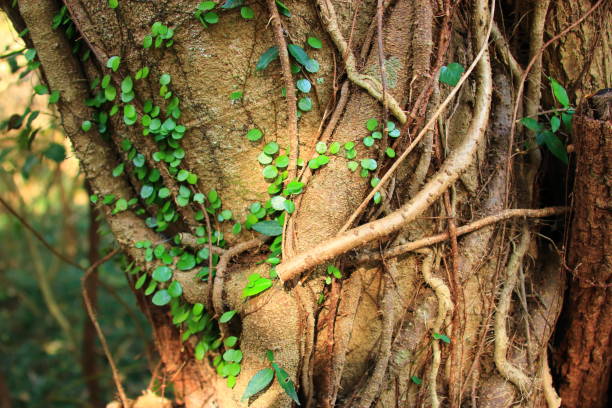 2025 난방비지원금 지원금액&amp;#44; 지급시기&amp;#44; 가구별 에너지 바우처 금액표