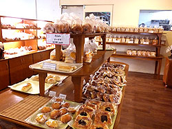 [제주항공 사이판 여행 추천] 저렴하고 알찬 휴양 여행 가이드!