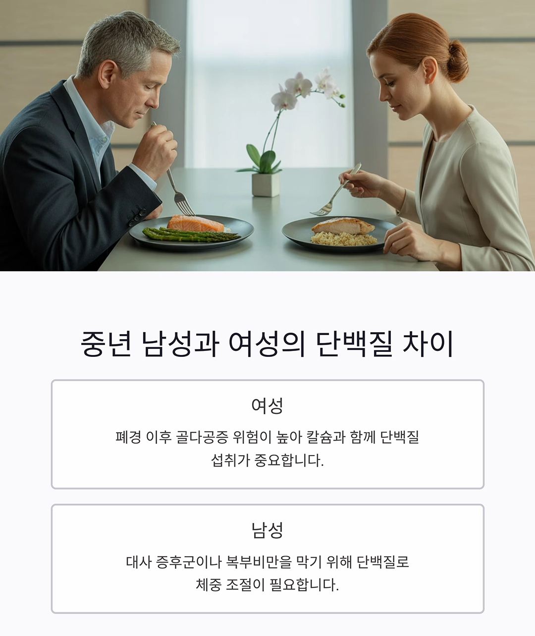 중년 건강의 핵심, 단백질 식단 완벽 가이드