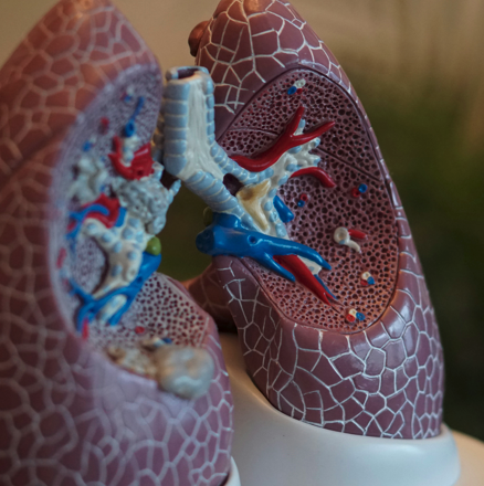 당뇨-담배-혈당-전자담배