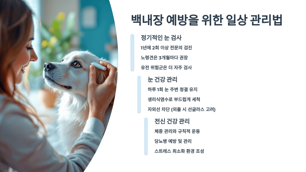 백내장 예방을 위한 일상 관리법