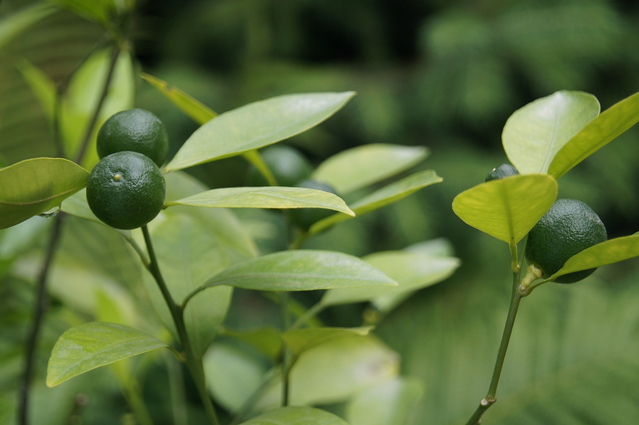추석연휴 해외여행