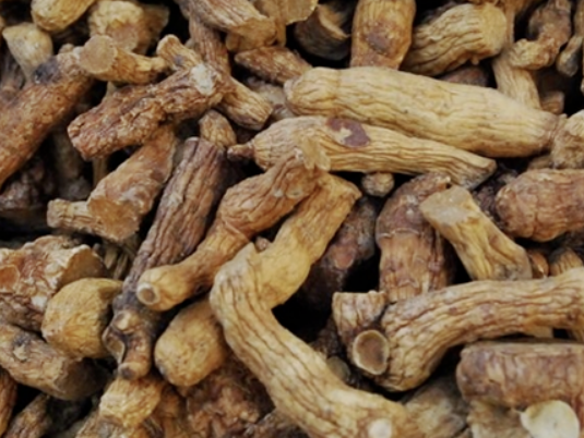 둥글레차 효과 물대신 효능과 부작용 만드는방법 총정리