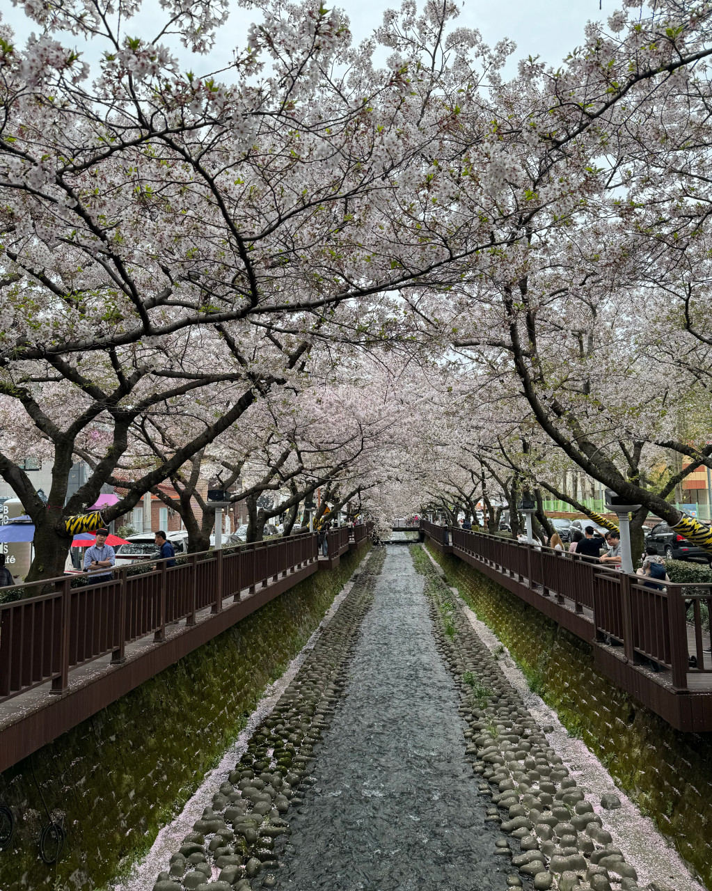 2025 전국 마라톤일정 총정리! 상반기부터 해외까지 한눈에