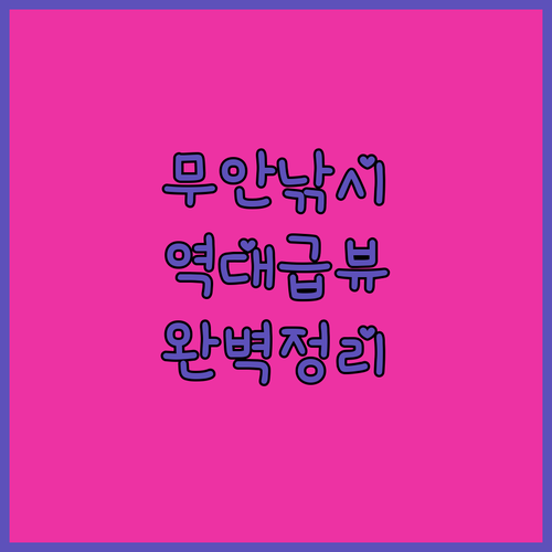 무안 해비치나루펜션 비치호텔 낚시 가..