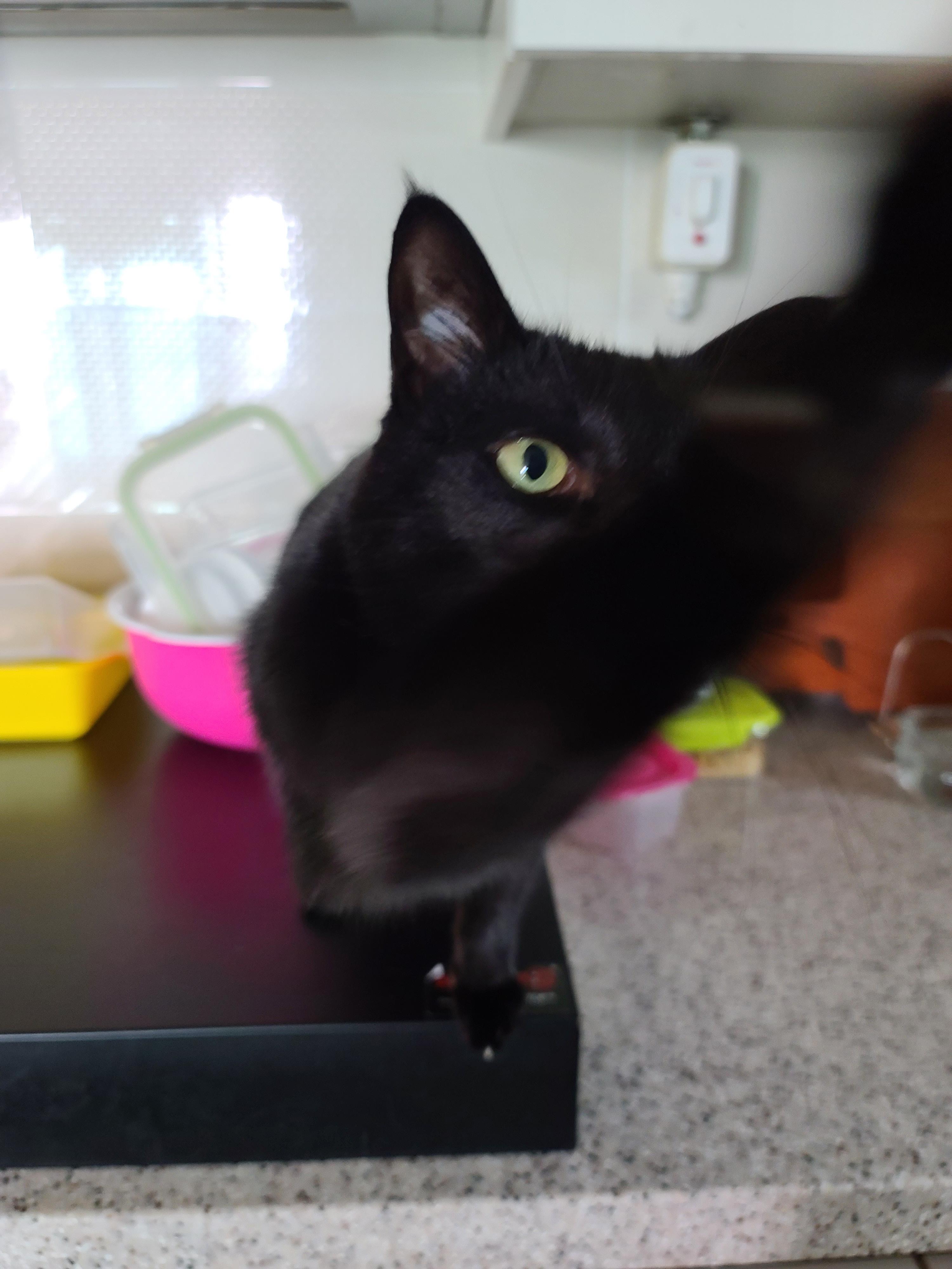 사랑스러운 스토커 건! (feat. 건이 콧구멍 ㅋㅋ)