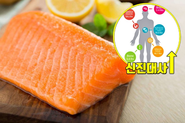 연어 효능, 체지방 빼는 식단, 체지방 분해 식품, 다이어트 피트니스 건강, 팁줌 매일꿀정보